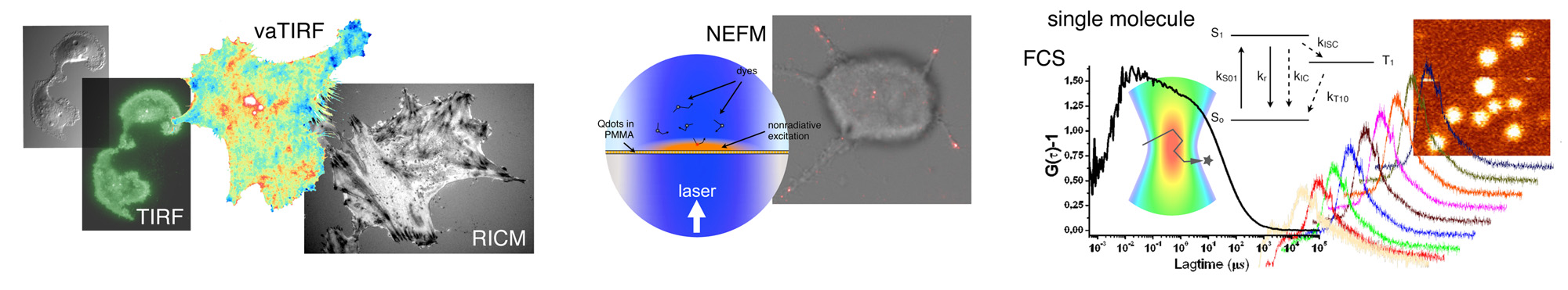 bandeau nanobio