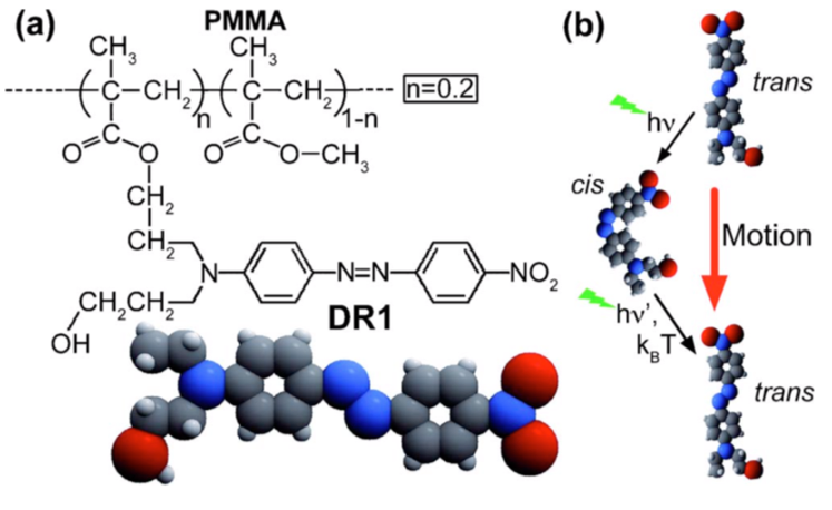 (a) Chemical structure of the PMMA-DR1 molecule. (b) Schematic of the trans-cis-trans isomerization cycle of DR1.